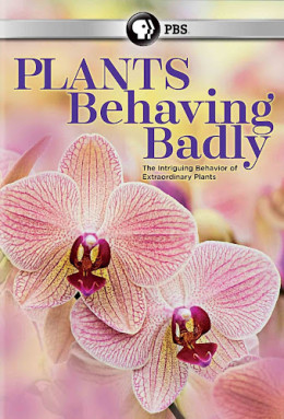 Plants Behaving Badly 2017