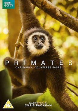 Primates