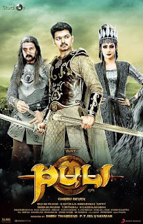 Puli