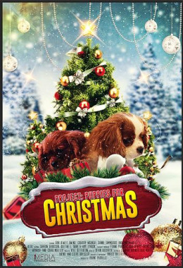 Project: Puppies for Christmas ( 2019