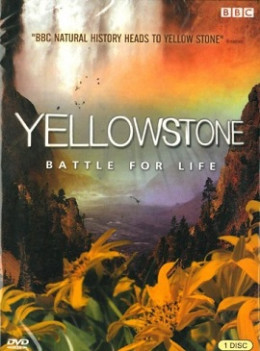 Yellowstone: Battle for Life 2009