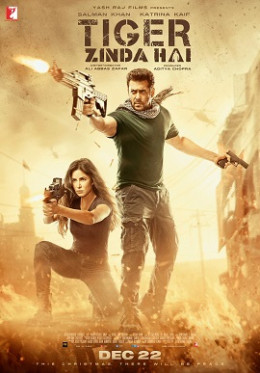 Tiger Zinda Hai 2017