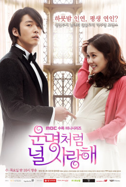 Fated To Love You 2013