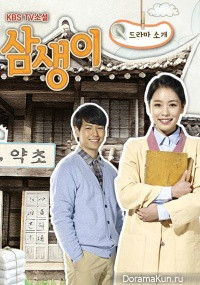 TV Novel: Samsaengi