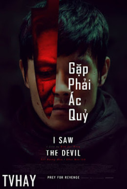 I Saw the Devil 2010