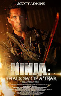 Ninja: Shadow of a Tear