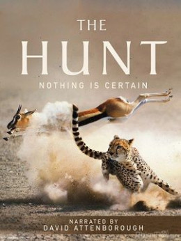 The Hunt 2015