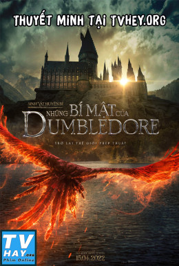 Sinh Vật Huyền Bí: Những Bí Mật Của Dumbledore