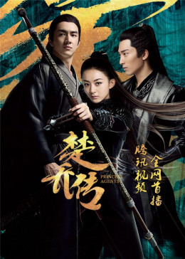 Princess Agents 2017