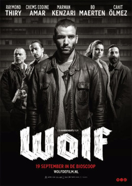 Wolf 2013