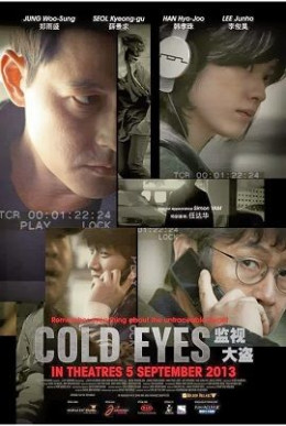 Cold Eyes 2013