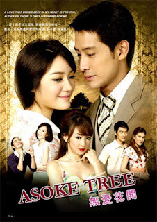 Asoke Tree 2008